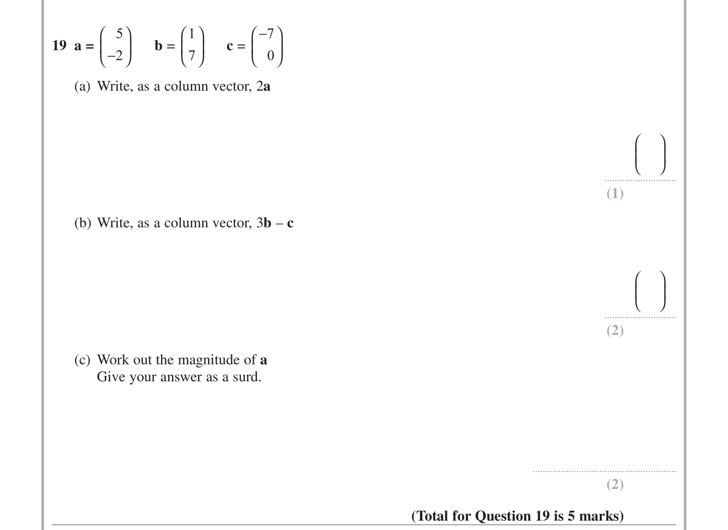 Question 19 — Vectors — Edexcel iGCSE Jan 2015